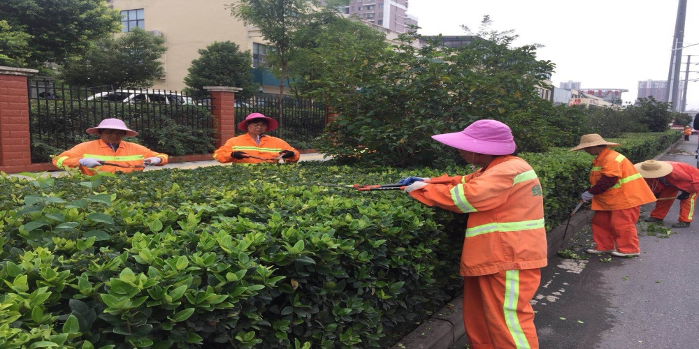 新站區(qū)道路清掃保潔、綠化管養(yǎng)項目