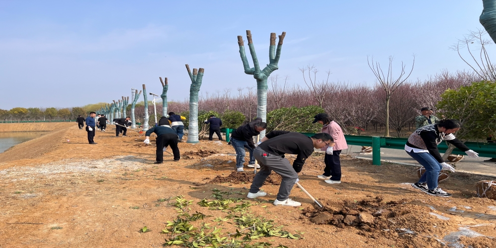 黨建引領(lǐng)共植綠 凝心聚力譜新篇 ——和合生態(tài)、德嘉置業(yè)黨支部赴小廟基地義務(wù)植樹